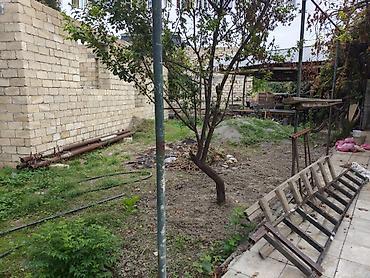 Həyət evləri və villaların satışı: 6 otaqlı, 600 kv. m, Kredit yoxdur, Təmirsiz — 4
