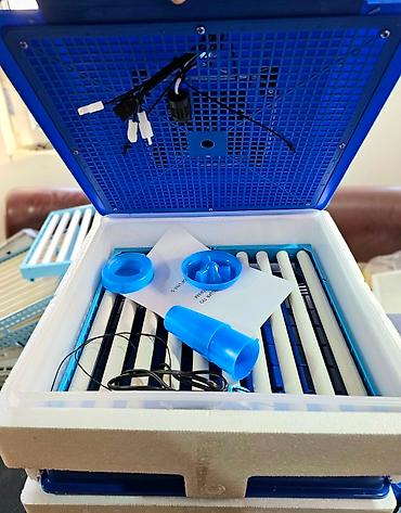 inkubator cucesi: Çin, Fabrik istehsalı, Tam avtomat, Bütün növ quşlar üçün — 5