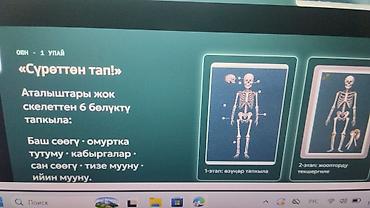 расписание: Интерактивные учебные материалы и расписание уроков — 4