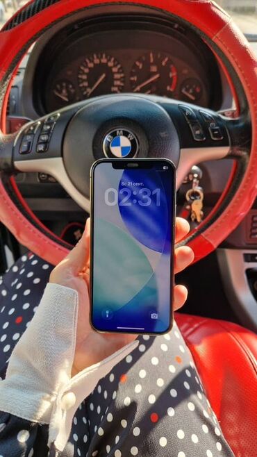 компьютер сатып алуу: IPhone 12 Pro, Серебристый