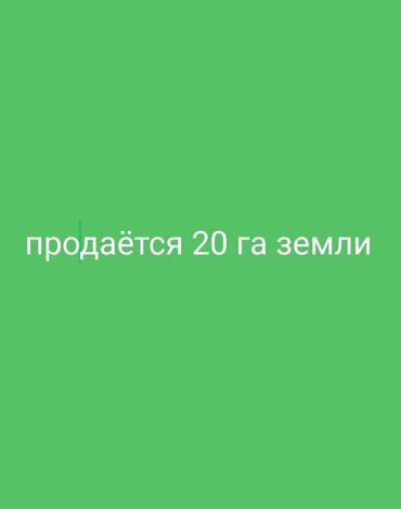дордой сдаю дом: 2000 соток, Для сельского хозяйства