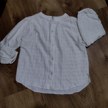 Shirts: Zara, Long sleeve, No pattern, 146-152