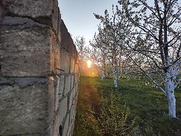 xirdalanda kiraye evleri: 7 sot, Tikinti, Mülkiyyətçi, Kupça (Çıxarış) — 3