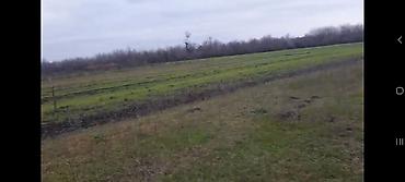 Torpaq sahələrinin satışı: Kənd təsərrüfatı — 5