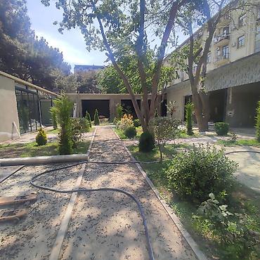 bakıda kabinetli restoranlar: Xırdalan şəhəri, AAAF Park yaşayış kompleksi, sıx gediş-gəlişli əsas — 4