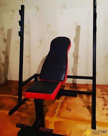 turnik brus press: Çoxfunksiyalı ştanq skamyası və preacher curl (biceps üçün “Skott” — 3