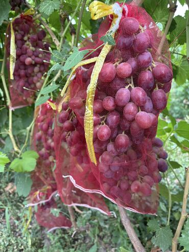 Продажа участков: 230 соток — 18