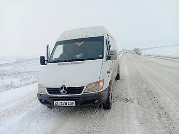 Mercedes-Benz: Mercedes-Benz Спринтер: 2003 г., 2.9 л, Механика, Дизель — 9