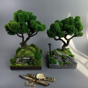 Декоративные цветы: Деревья-бонсай из натурального стабилизированного мха🌳 -это — 23