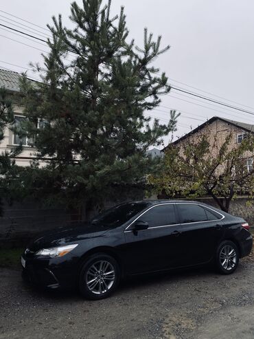 Toyota: Toyota Camry: 2017 г., 2.5 л, Автомат, Бензин