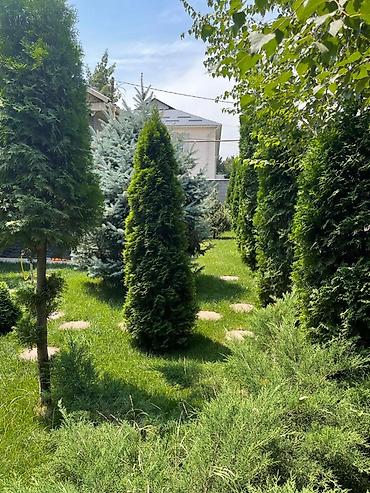 сдам частный дом арча бешик: Сдаю дом на длительный срок. Ахунбаева Бакаева — 4