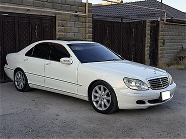 c 220: Mercedes-Benz 220: 2003 г., 5 л, Автомат, Бензин, Седан — 3