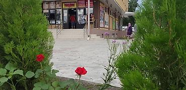 red centr: Аренда офисов, 33 м², В бизнес центре, 1 линия — 5