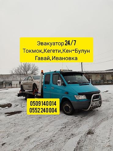 247: С ломаной платформой, С прямой платформой, С лебедкой — 1