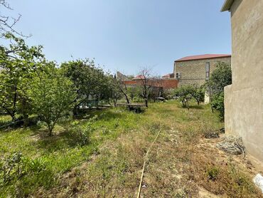 xoçəsən: 6 sot, Mülkiyyətçi, Bələdiyyə