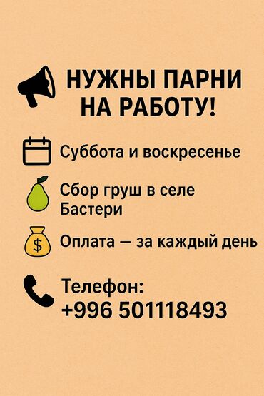 Сборщики урожая: Требуется Сборщик урожая, Оплата Ежедневно