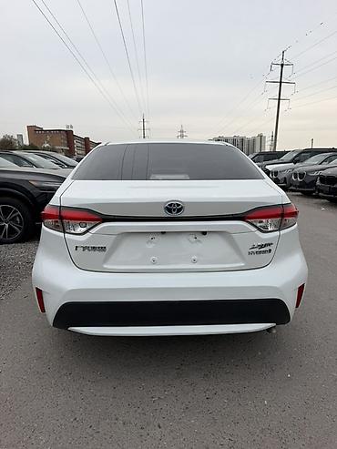 Toyota: Toyota Levin: 2020 г., 1.8 л, Автомат, Гибрид, Седан — 4