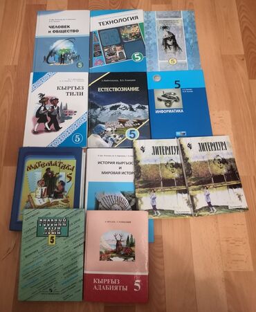 алгебра 9 класс 5 плюс: Комплект из 12 школьных учебников для 5 класса