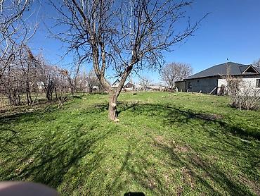 Продажа участков: 15 соток at lalafo.kg — 6 Продажа участков: 15 соток — 6