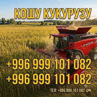 мала борон: Кости кукурузу Чуйская область, Иссык кульская
9500сом/гектар — 1