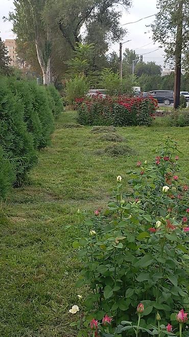 куплен: Куплю участок или дачу с выходом на речку в верхней части города — 1