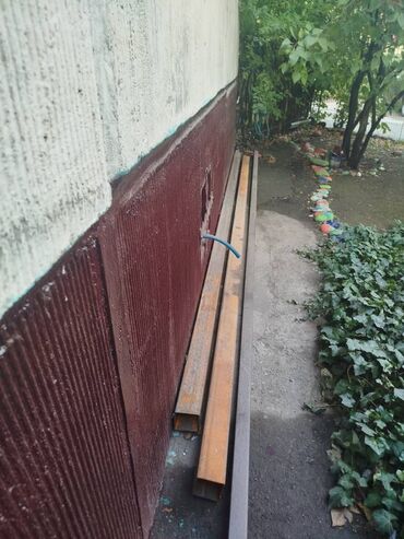 газон в рулонах: Śpiochy, Болот