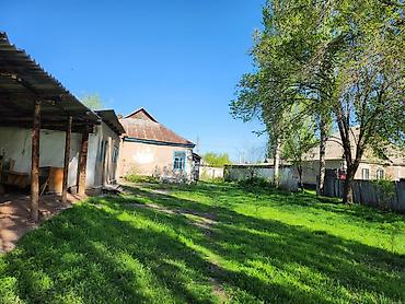 Продажа коттеджей и домов: Продаю участок (с домом, возможно под снос) 20лет никто не жил и есть — 6