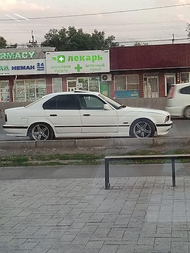 альпина е34: BMW 5 series: 1991 г., 2.5 л, Механика, Бензин, Седан — 5