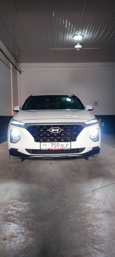 авто домик: Hyundai Santa Fe: 2018 г., 2 л, Автомат, Дизель, Кроссовер