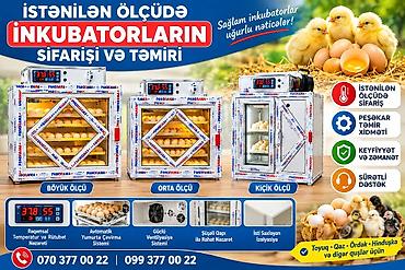 Inkubator inqubator İstənilən ölçüde yığıram tam avtomat qiyməti