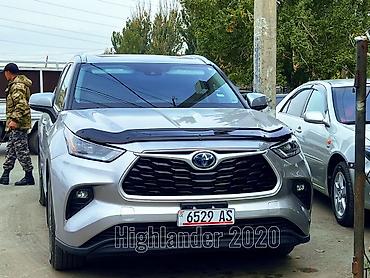 афто зонтик: Мухобойка на капот Toyota, 2019 г., Новый, Платная доставка, Самовывоз — 8