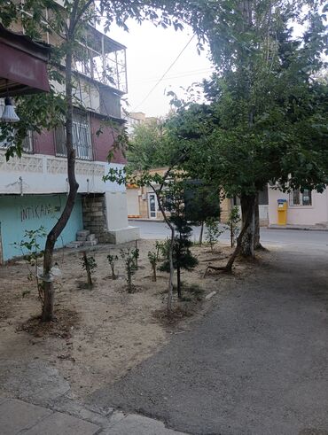 аренда под кафе: Bakının mərkəzində yerləşən, geniş və çoxfunksiyalı kommersiya məkanı