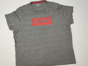 Футболка для чоловіків, 2XL, Inextenso, стан - Дуже гарний