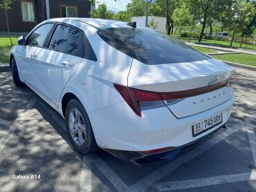 ом 615: Hyundai Avante: 2020 г., 1.6 л, Автомат, Бензин, Седан