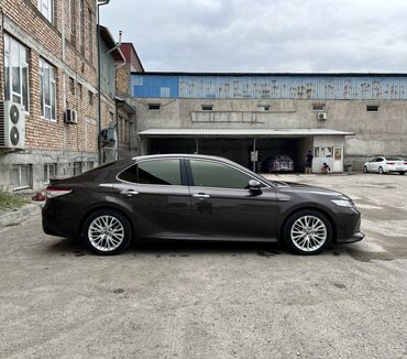 фары лэд: Toyota Camry: 2019 г., 2.5 л, Автомат, Гибрид, Седан