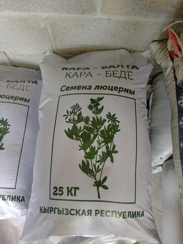все для аквариума бишкек: Семена кормовых растений: Люцерна, Самовывоз, Платная доставка