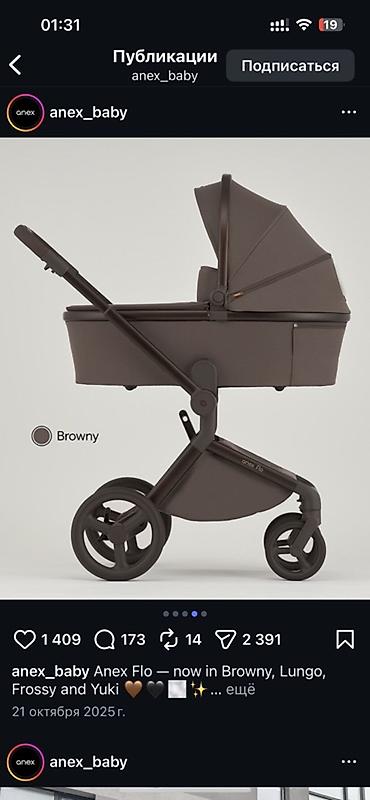 Коляски: Коляска «Anex flo»
Цвет кофе/коричневый — 12