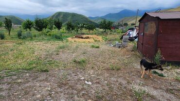 Сельхоз предприятия: Продаю Кошара, 2000 соток, Не действующий, Частично с оборудованием, Электричество — 10