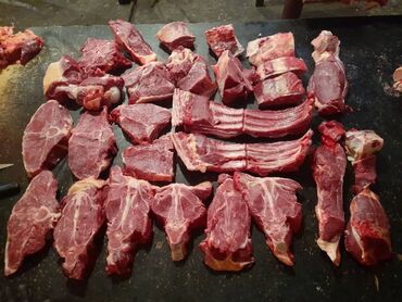 рыба сазан: Мясо говядины, конины от десяти кг, устуканы по вашему желанию. Мясо