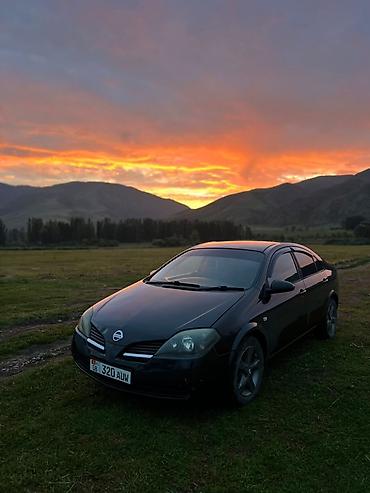 пежо 301: Nissan Primera: 2003 г., Седан — 1