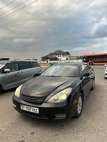 Продажа авто: Toyota Windom: 2004 г., 3 л, Автомат, Бензин, Седан — 2