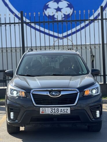 форд мустанг бишкек: Subaru Forester: 2019 г., 2.5 л, Бензин, Кроссовер