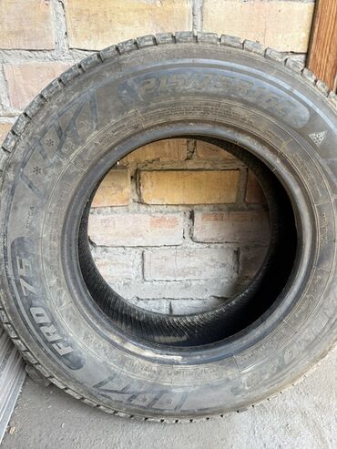 таета авенсис универсал продажа бишкек: Шины 215 / 75 / R 16, Зима, Легкий коммерческий транспорт (C/LT), Triangle