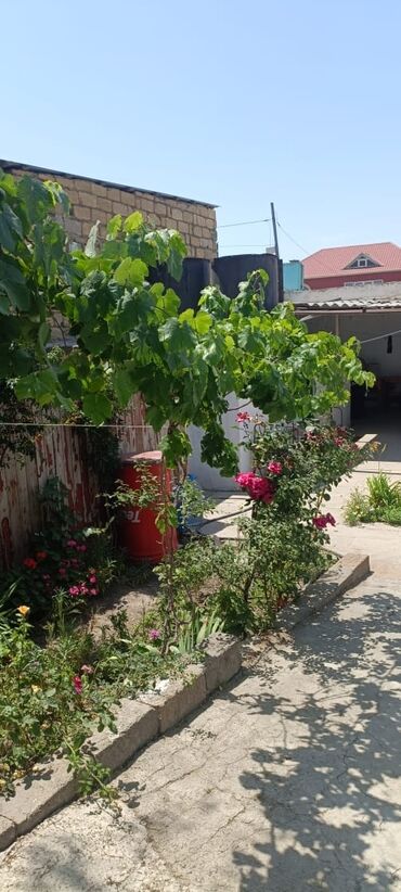 sumqayitda ucuz heyet evleri: 4 otaqlı, 100 kv. m, Kredit yoxdur, Orta təmir