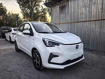 Changan: Changan Benben E-Star: 2024 г., Вариатор, Электромобиль, Хэтчбэк — 2