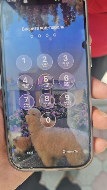 бу чехлы: IPhone 16 Pro, Б/у, 256 ГБ, Чехол, 89 % — 2
