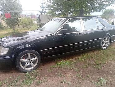 e60 m5: Mercedes-Benz S-Class: 1995 г., 5 л, Автомат, Газ, Седан — 9