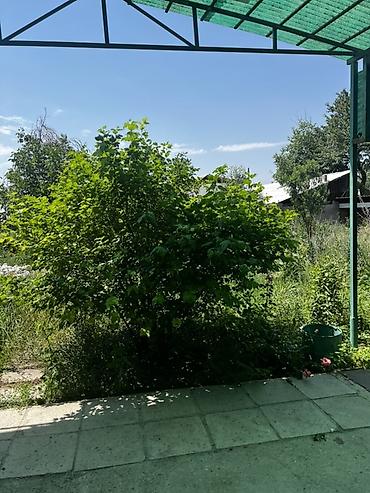быстроток: 4 соток, Для строительства, Красная книга, Тех паспорт — 3