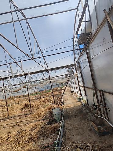 Bağ evi və bağ üçün hər şey: 17 sotluq parnik ləvazimatları satılır – tam komplekt Tərkib: - — 2