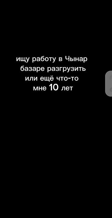 аламединском рынке: Услуги по разгрузке и помощи на рынке Чынар — 1